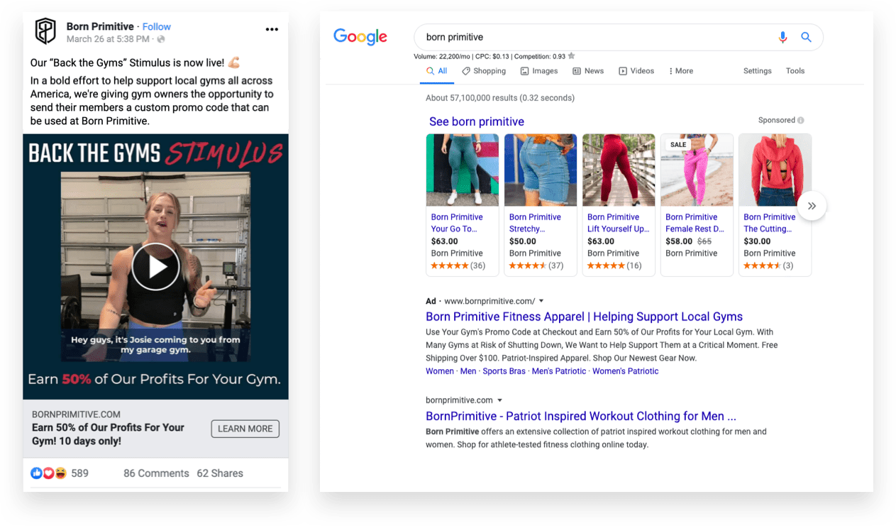 Facebook and Google Shopping Ads Example from Born Primitive