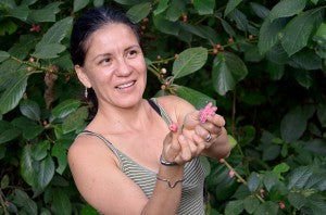 An incredibly diverse landscape with many edible native fruits and plants