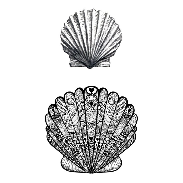 Dainty tini sea shell           tattoo tattooartist tatt   TikTok