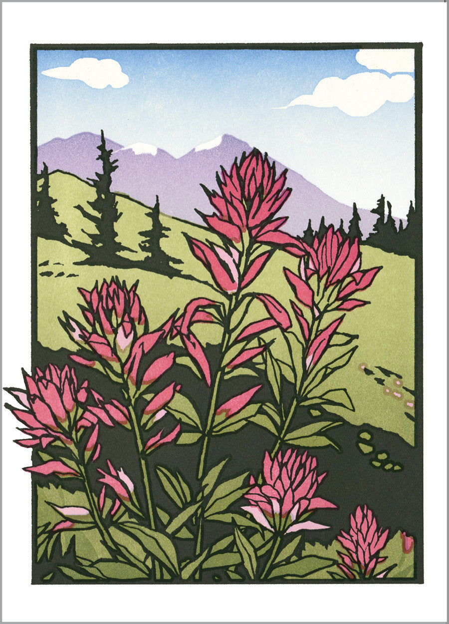 indian paintbrush painting