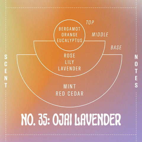 Introducing No. 35: Ojai Lavender | Common Scents: The Blog - P.F. Candle Co. Los Angeles