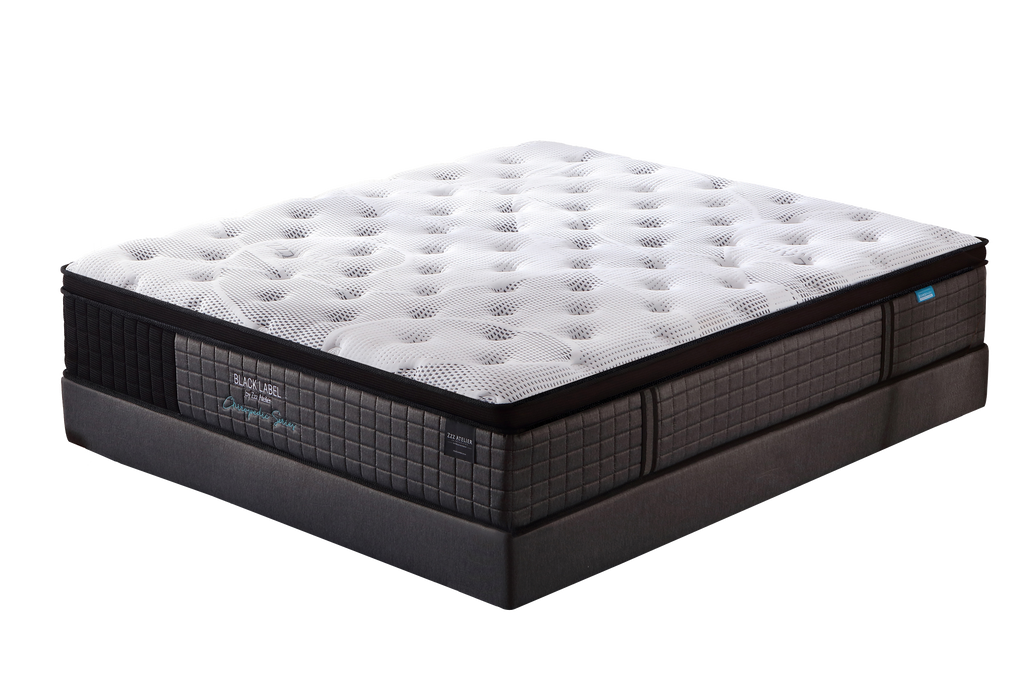 zzz atelier black label queen mattress