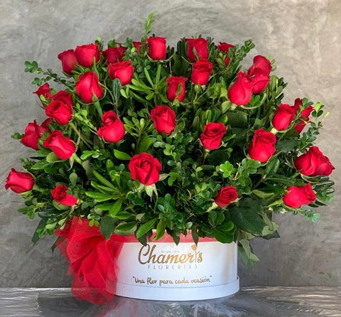50 Rosas Rojas en Caja – Floreria Chamers