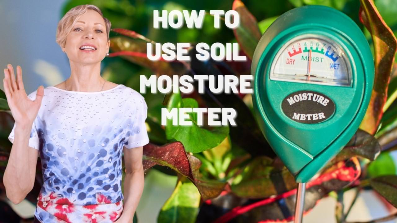 5 Best Soil Moisture Meters For Your Plants In 2023