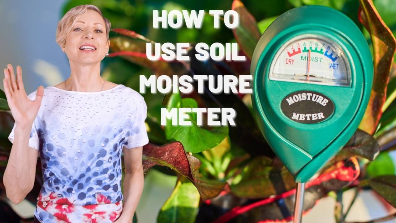 How to Use a Soil Moisture Meter