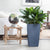 Plant Delivery NYC | Local NYC Plant Store - Shop Houseplants Online