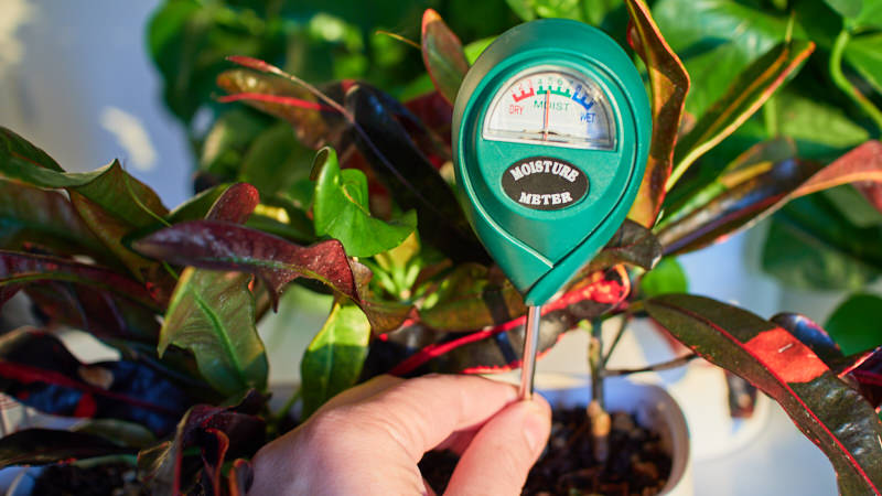 Professional Plant Soil Moisture Garden Sensor Moisture Monitor