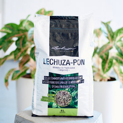 LECHUZA PON, My City Plants