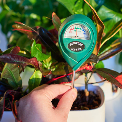 GROWIT Soil Moisture Meter for Plants - Plant Moisture Meter for House  Plants | Hydrometer for Plants | Plant Moisture Meter Houseplants | Water