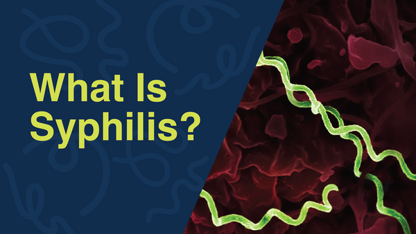 What is syphilis: stylized microscopic image