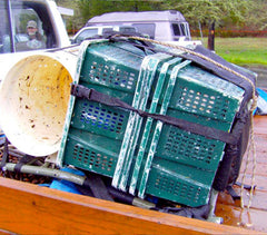 forager baskets and buckets