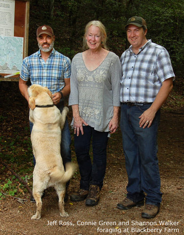 Connie Green with Jeff Ross and Shannon Walker of Blackberry Farm foraging for wild foods in The Great Smoky Mountains 