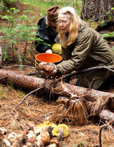 Connie Green picking wild porcini, photo copyright Sara Remington courtesy Viking Studio, The Wild Table