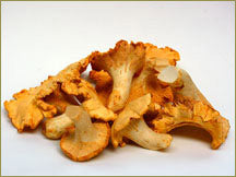 Wine Forest Wild Foods wholesale wild chanterelle mushrooms