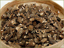 Wine Forest Wild Foods Wholesale Premium Dried Wild Morel Number One Mushrooms in Bulk