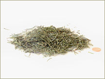 Wine Forest Wholesale Wild Dried Grand Fir Needles