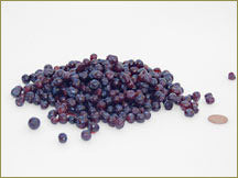 Wine Forest Wholesale Wild huckleberries