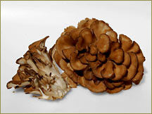 Wine Forest Wholesale Fresh Cultivated Hen of the Woods / Maitake Mushrooms