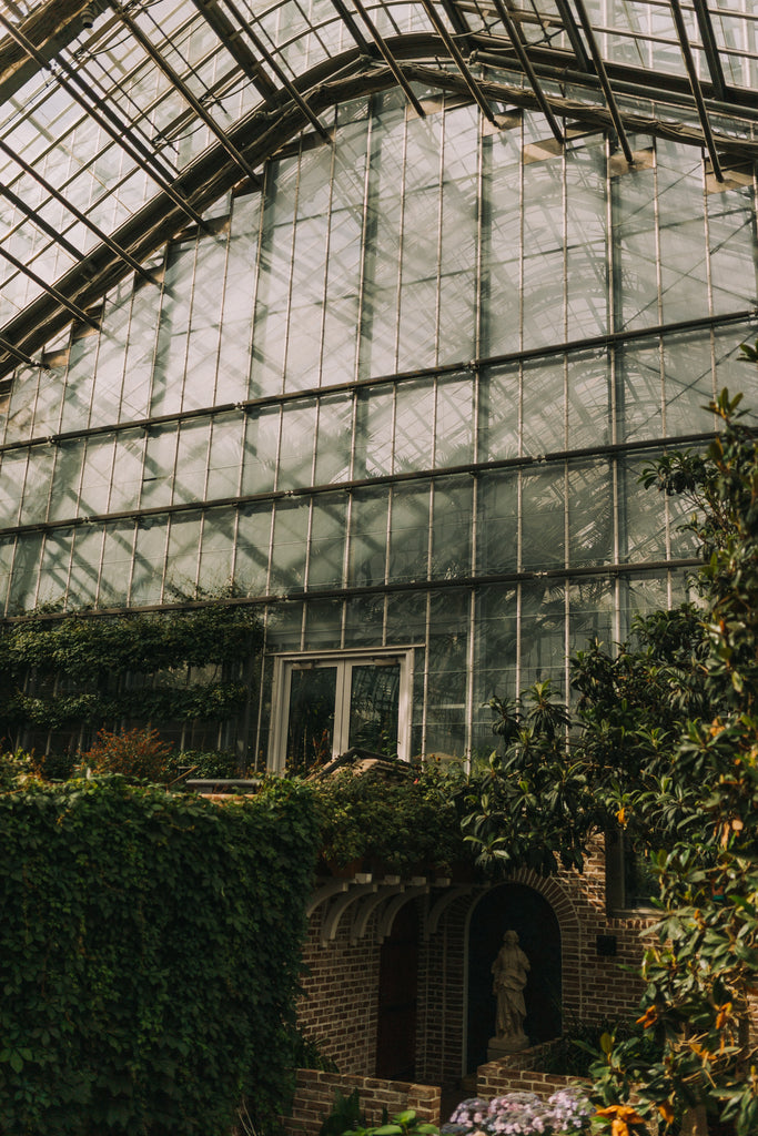 Inside a cool conservatory