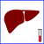 liver-function-blood-test