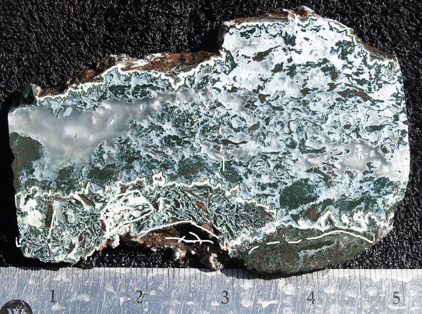 Oregon Moss Agate Rock Slab 13 – DD Rocks