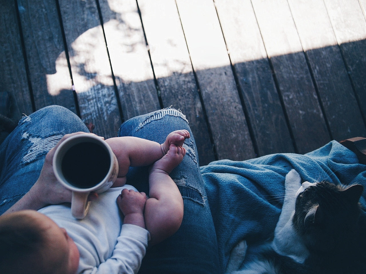 View from the top, we see a baby on a lap, with a cup of coffee in the parent's hand, and a cat sitting next to them