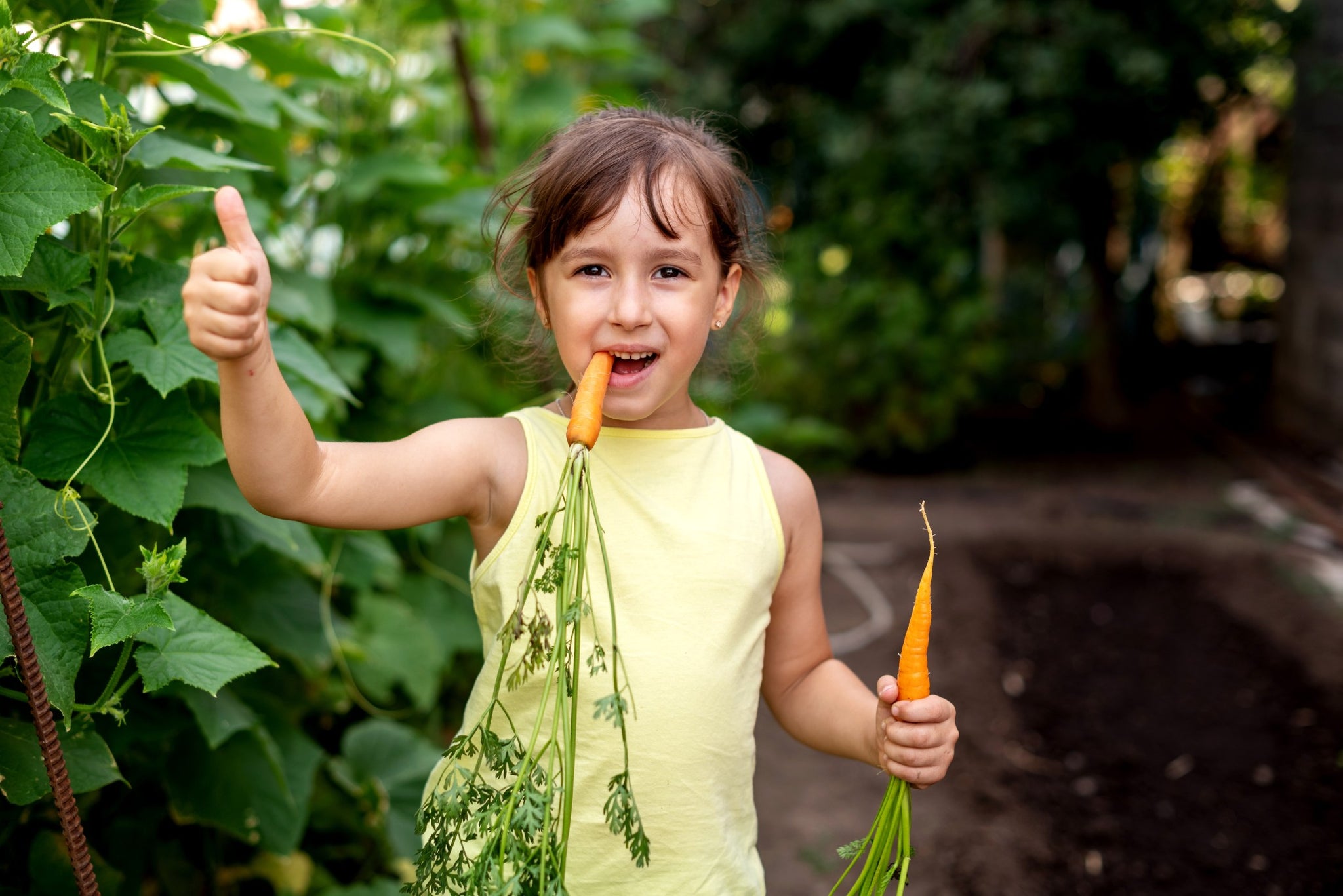 Young girl in a garden holding and eating carrots.