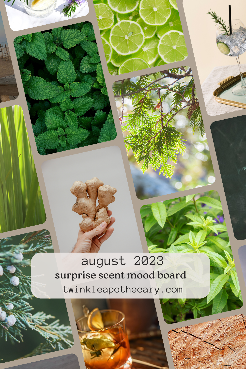 twinkle apothecary surprise scent mood board august 2023