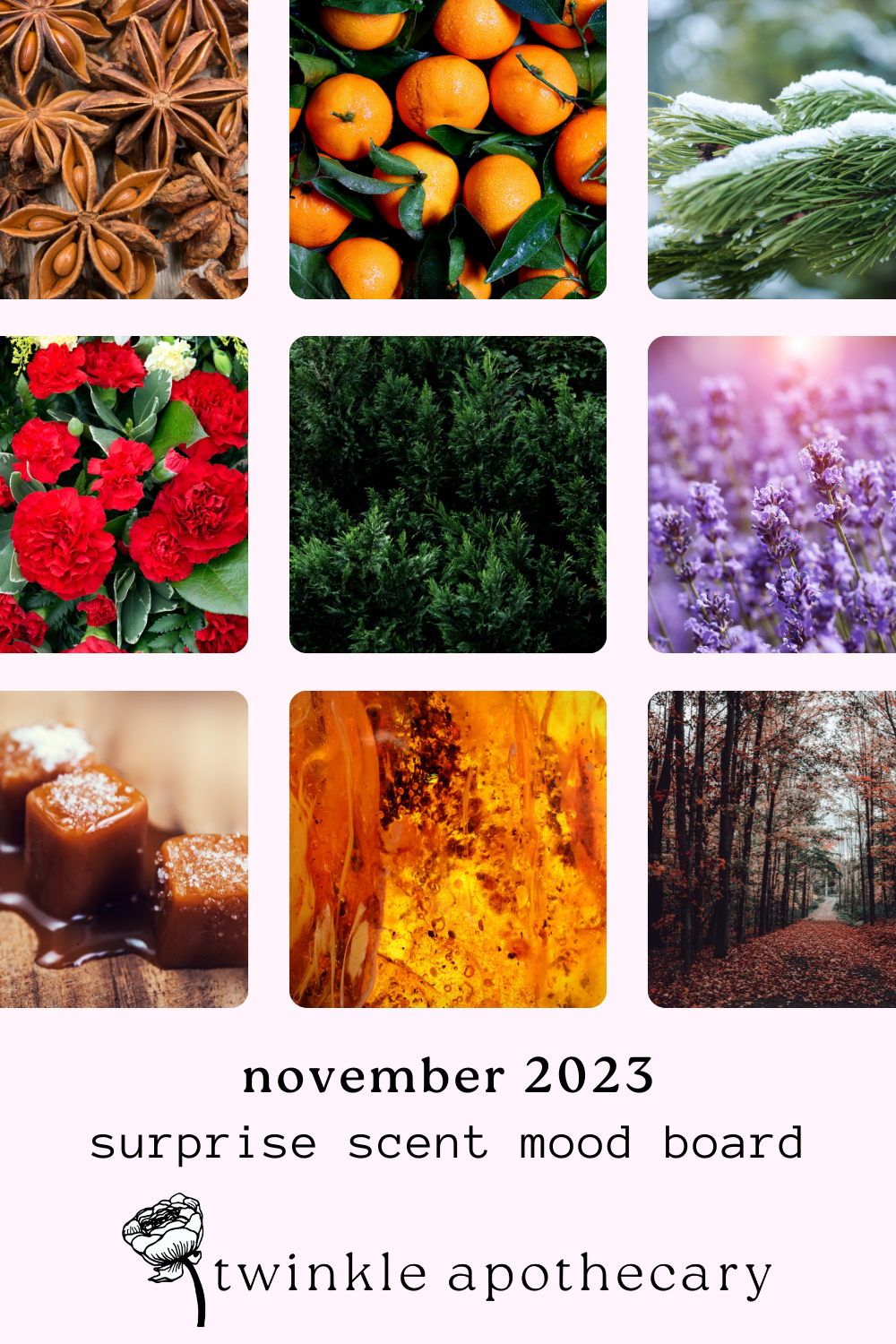 November's surprise scent hint twinkle apothecary