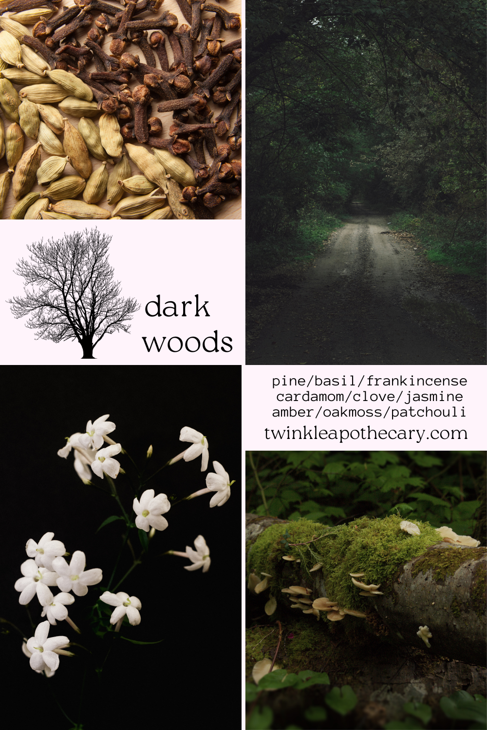 dark woods botanical fragrance by twinkle apothecary