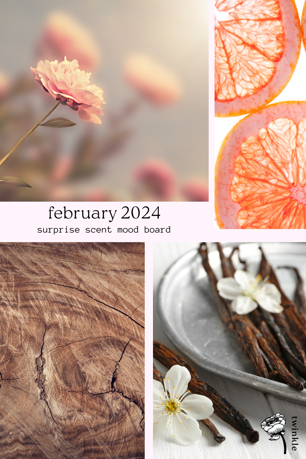 february 2024 surprise scent mood board twinkle apothecary