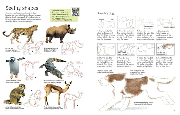 Usborne Art Ideas: Drawing Animals – Bilingual Bookshop