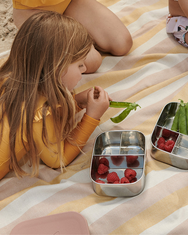 stainless steel lunch box