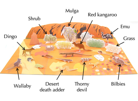 Australian desert ecosystem origami organelle