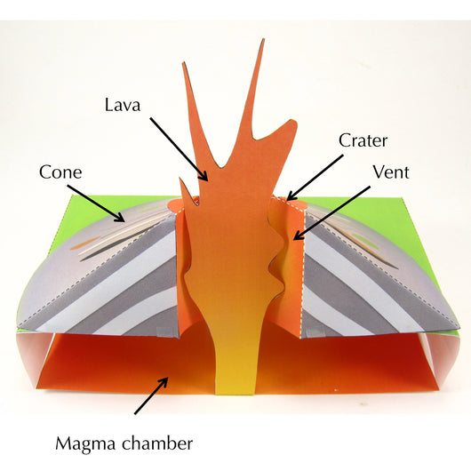 Volcano Origami Organelles