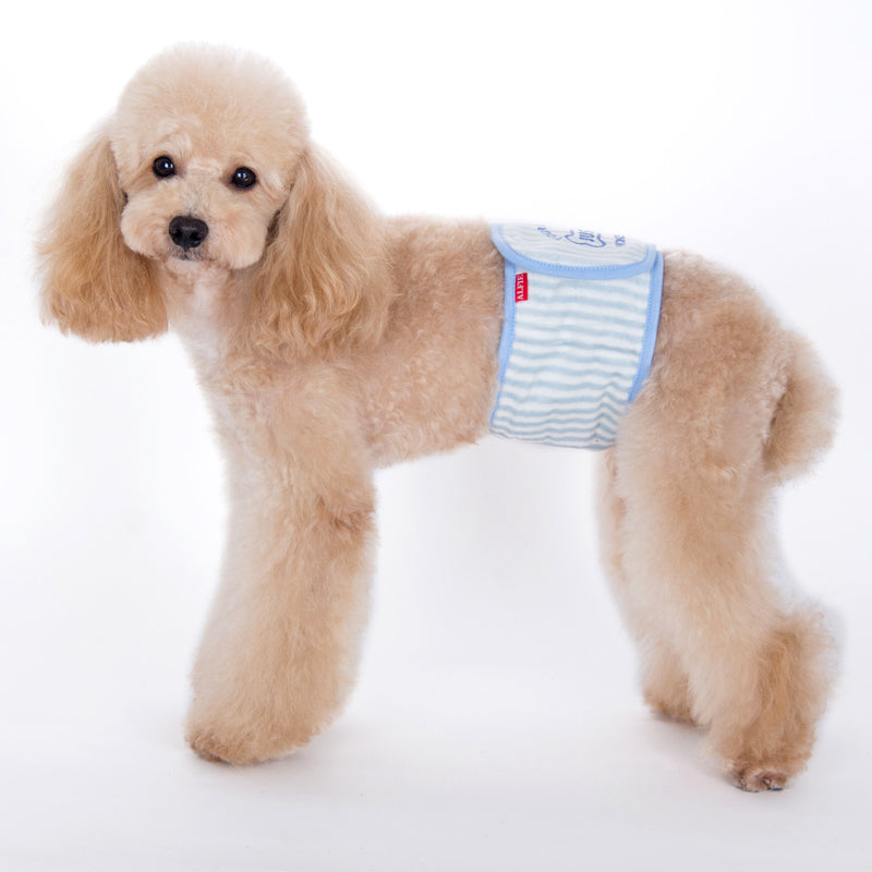 what is a belly band for female dogs