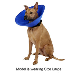 soft sided dog cone