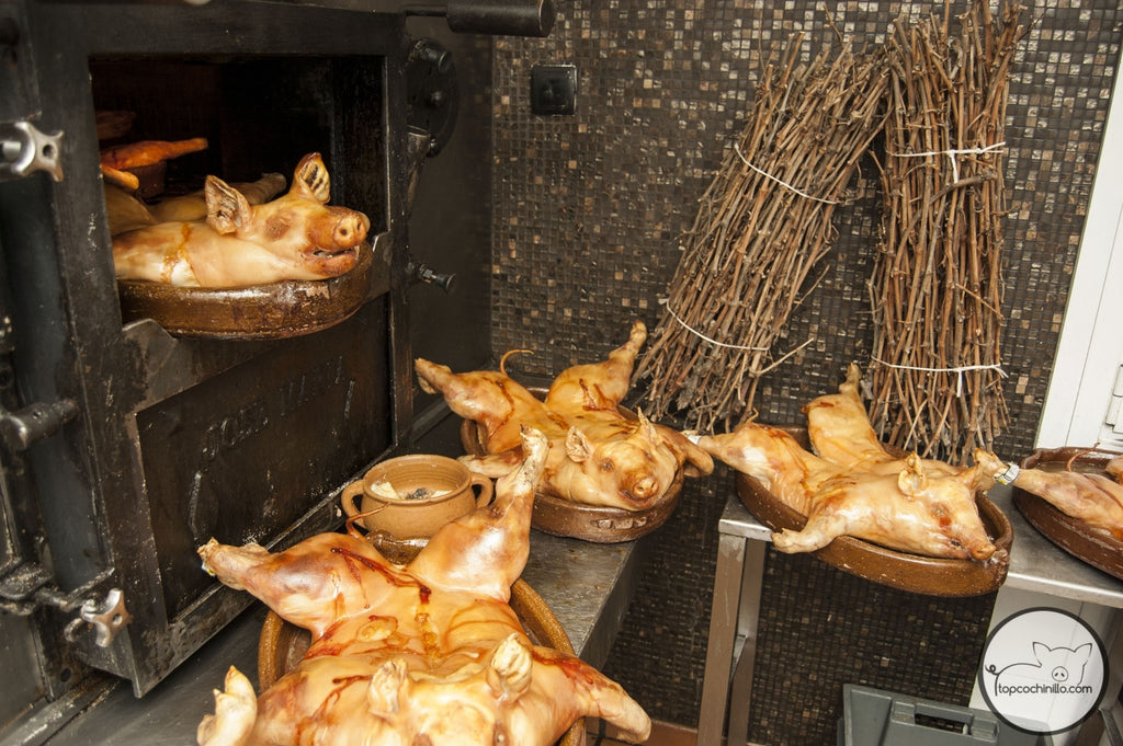 cochinillo asado, de la granja a la mesa