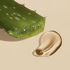 Close up of an Aloe Vera leaf with juice visible