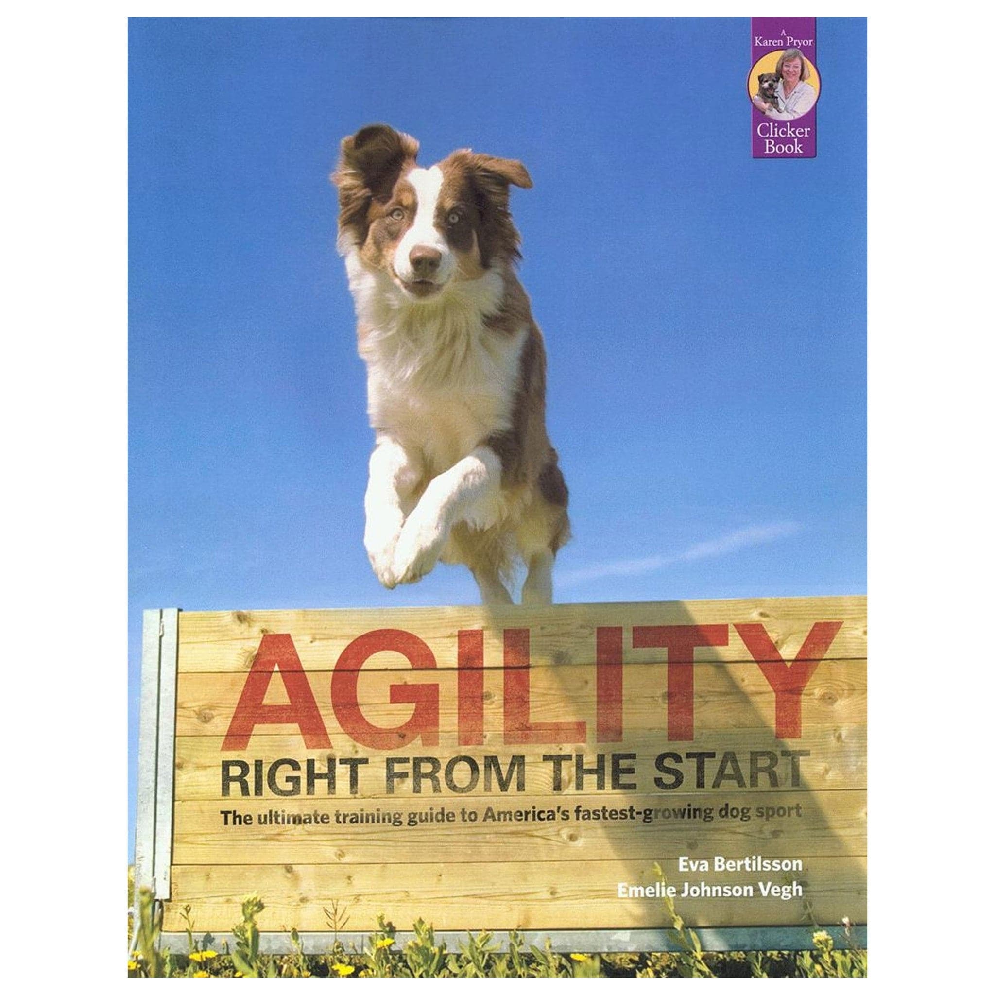 when can i start agility training with my puppy