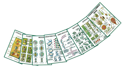 图表 -  Genery Botany -ii