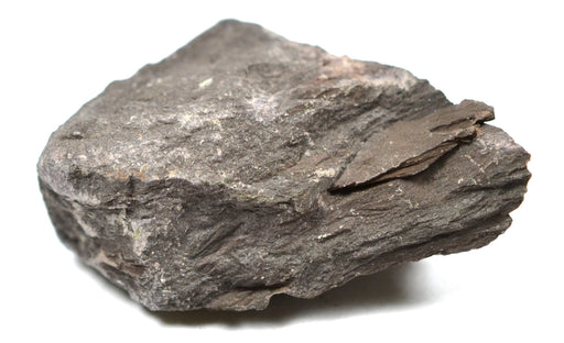 Eisco角岩样品（变质岩），约1”（3cm）