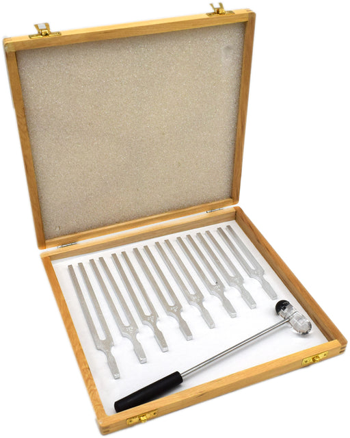 Tuning Fork, 256Hz - Premium Quality - Middle C - Plain Shanks - Alumi —  Eisco Labs