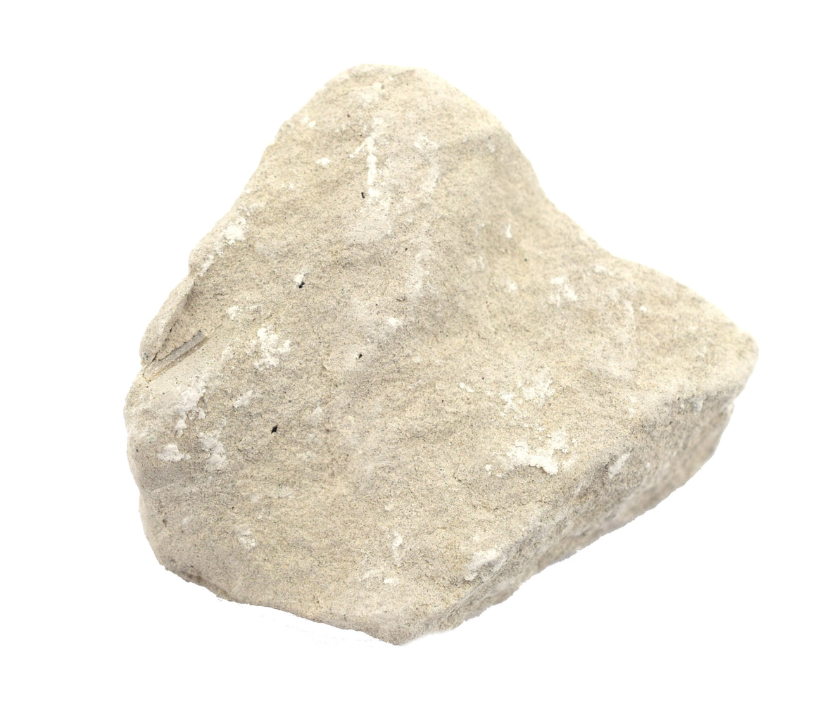 Raw Limestone Sedimentary Rock - Approx. 1" — Eisco Labs