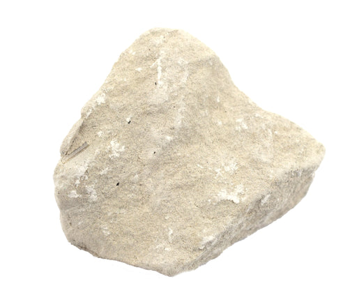 原始石灰石粉笔，沉积岩标本 - 大约1英寸 - 地质学家选择和手工处理 - 非常适合科学教室 -  Eisco Labs欧宝体育官网进入