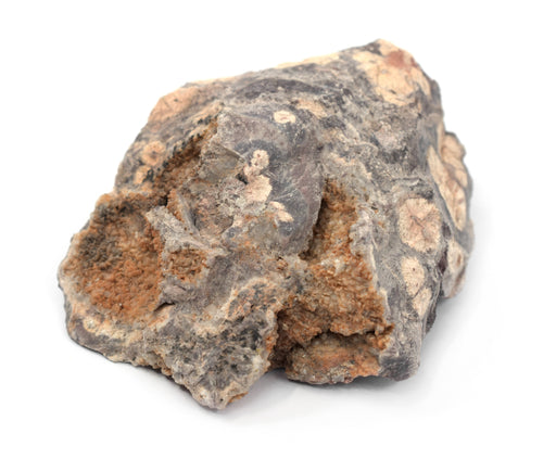 Raw Pumice Igneous Rock Specimen, 3 - Hand Sample Samples - Eisco