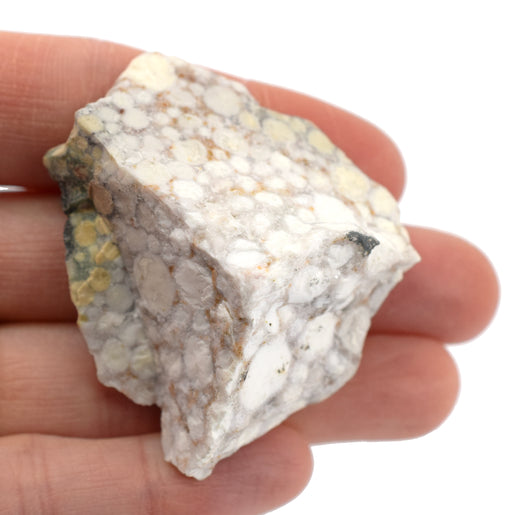 White Gray Sandstone Sedimentary Rock - Mini Me Geology