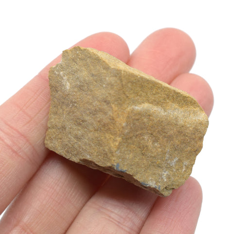 生白色砂岩沉积岩石标本，1英寸 - 地质学家选择样品 -  Eisco Labs欧宝体育官网进入