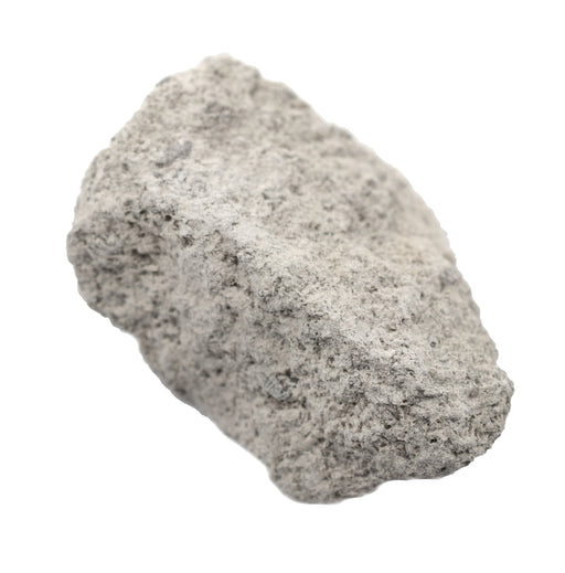 卵石石灰石，沉积岩标本 - 大约。1“