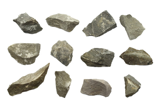 Eisco Siltstone Specimen (Sedimentary Rock), Approx. 1